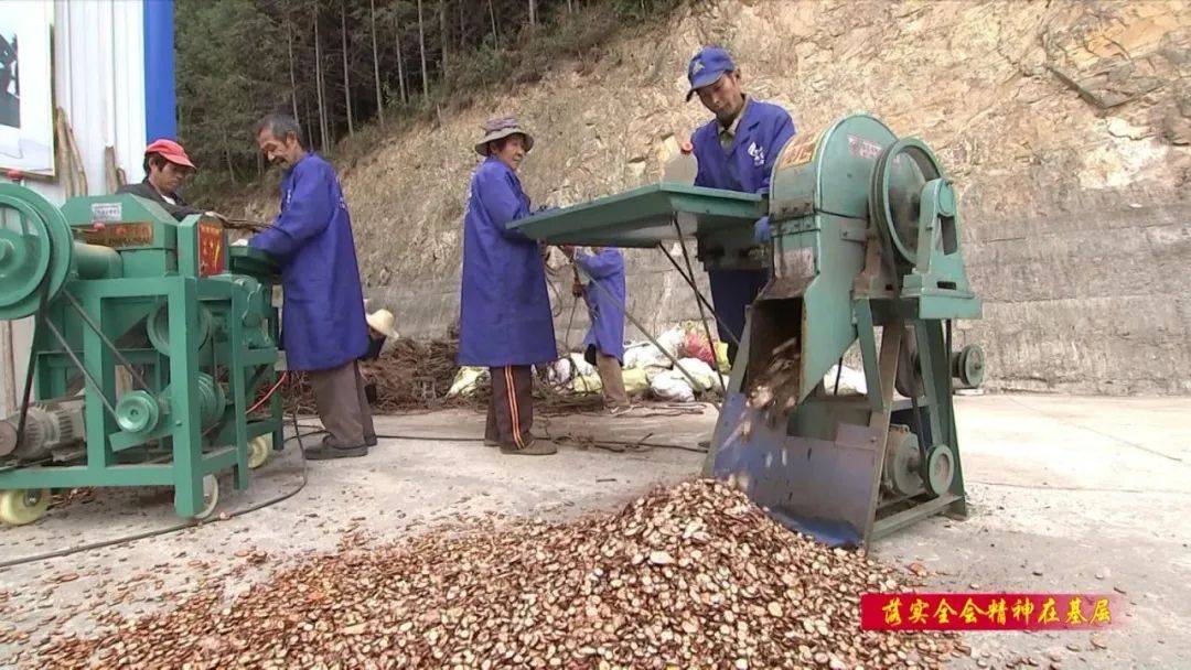 农业致富视频_池州现代农业致富经_农业致富节目