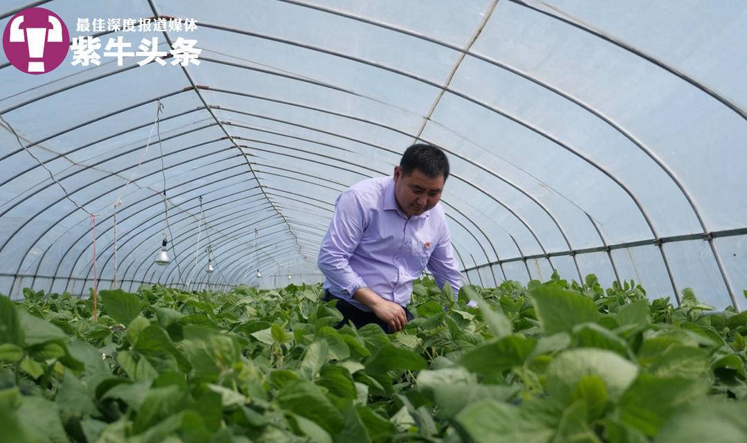 养殖致富之路_靠养殖如何致富_致富养殖项目