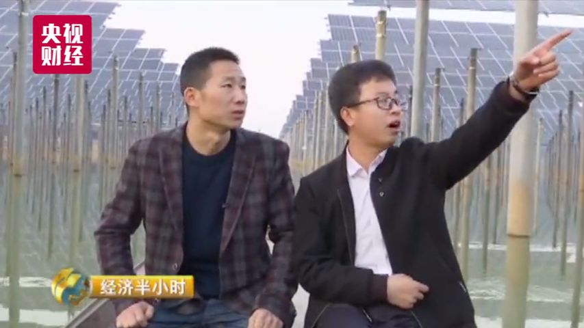 致富网养殖业_致富网养鱼_广东网箱养殖致富