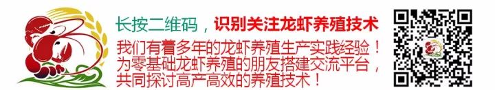 龙虾养殖冬季技术小视频_冬季小龙虾养殖技术_龙虾养殖冬季技术小结