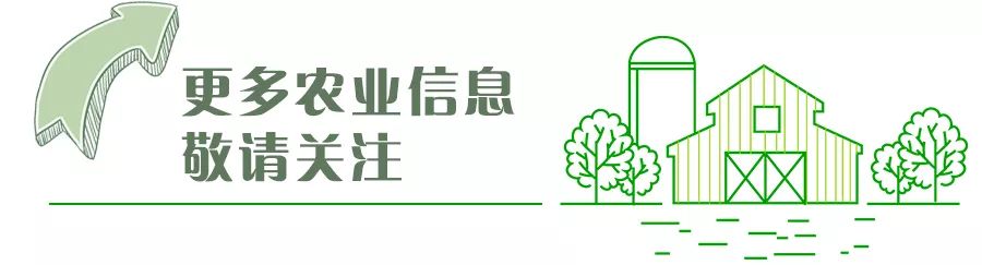 三农服务热线┃冬季小龙虾如何养殖，保证来年成活率？专家给你支招！