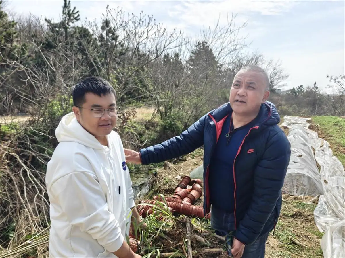 草坪村种草养牛视频_草地养殖致富新路_草坪养殖基地