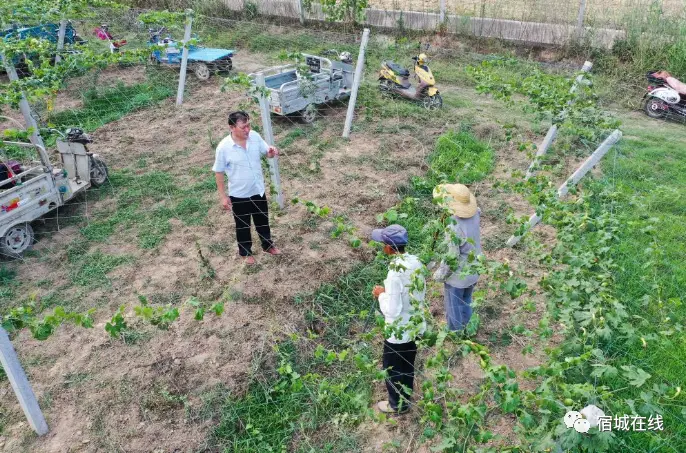 宿迁养殖致富门路_江苏宿迁养殖场骗局_宿迁养殖基地