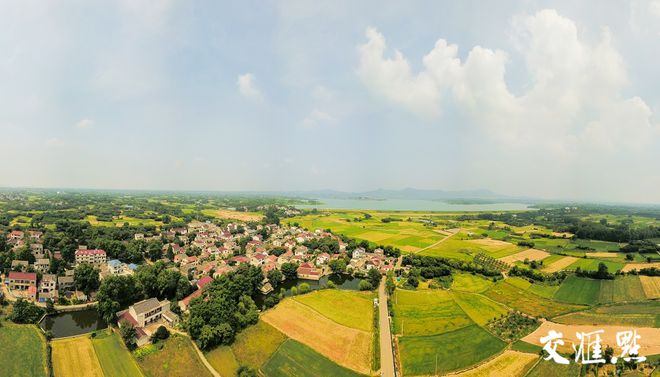 草坪养殖基地_草坪养殖_草地养殖致富新路