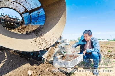 养殖地龙赚钱吗_地龙养殖技术与利润_正规地龙养殖致富