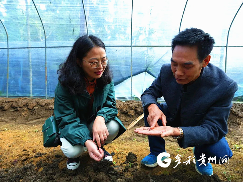 蚯蚓养龙虾_种巨菌草地里同时可以养蚯蚓吗_养蚯蚓喂青蛙致富经