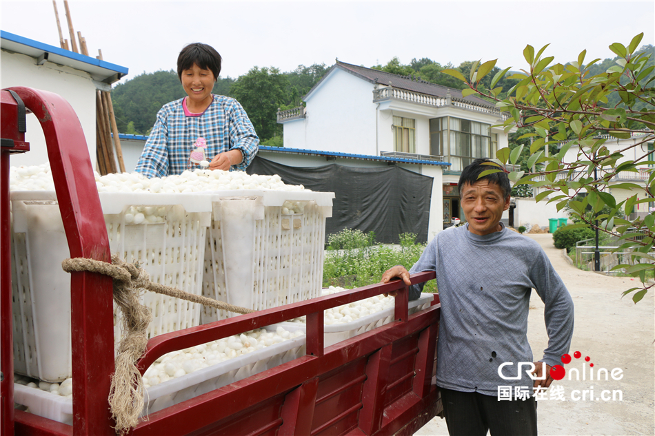 安徽潜山：桑蚕养殖助力农户脱贫致富_fororder_4