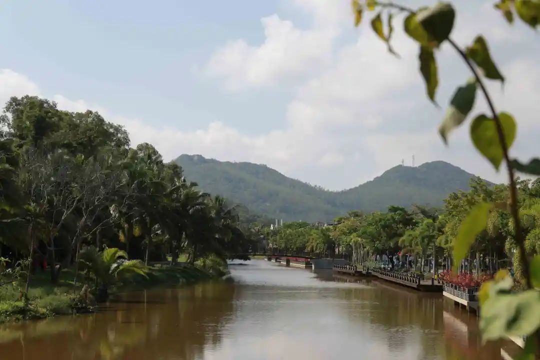 海南致富种植养殖_在海南养殖什么前景好_海南养殖业什么最赚钱农村