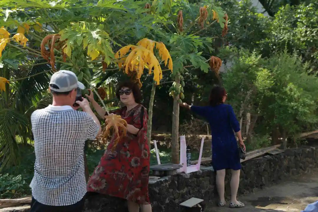 海南养殖业什么最赚钱农村_海南致富种植养殖_在海南养殖什么前景好