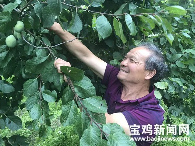 农村致富种_老农民种植致富_农民致富种植项目