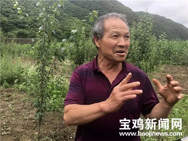 农民致富种植项目_老农民种植致富_农村致富种