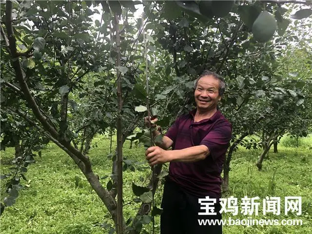 老农民种植致富_农民致富种植项目_农村致富种