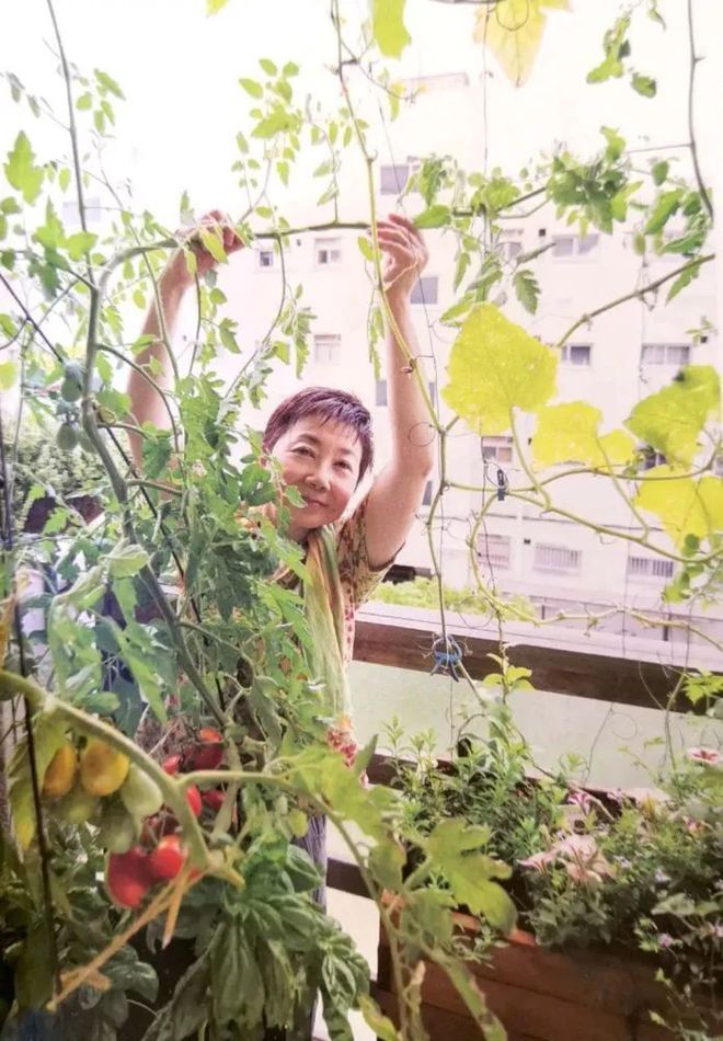 红香芹怎么做好吃_种植红香芹技术要点_红香芹种植技术