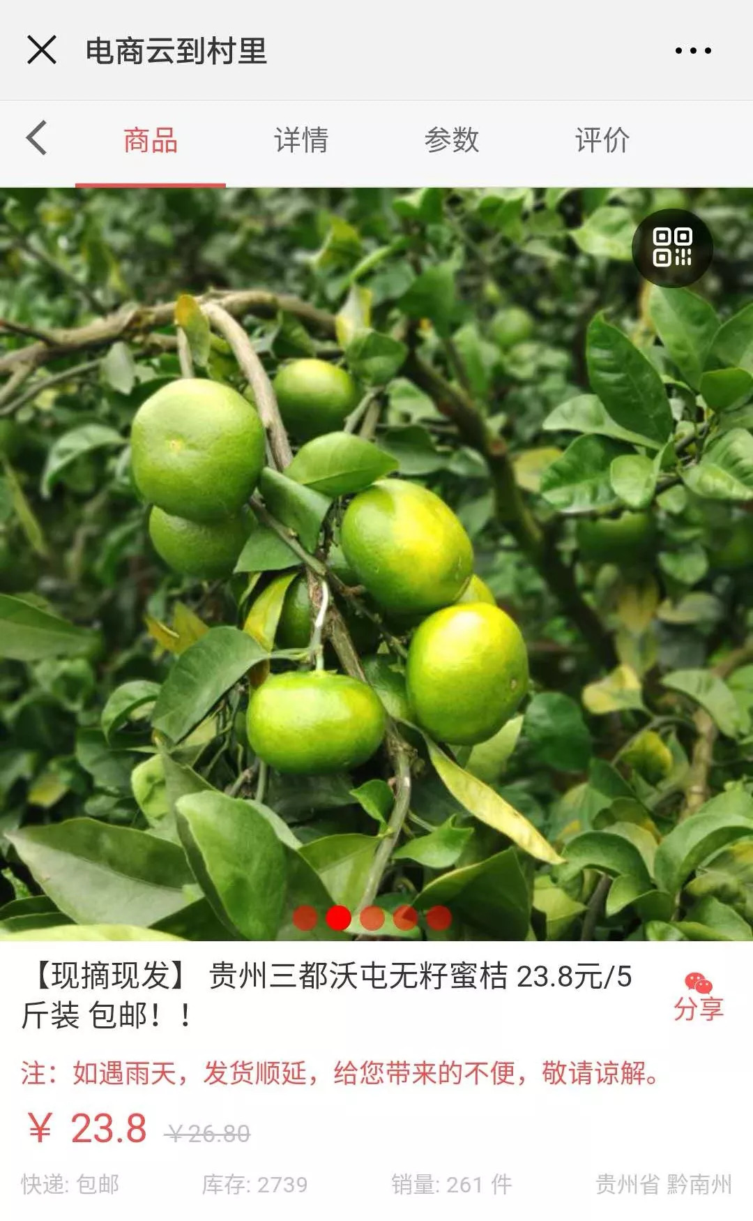 蜜桔亩产量和利润多少_种植蜜桔需要注意些什么_种植蜜桔致富案例