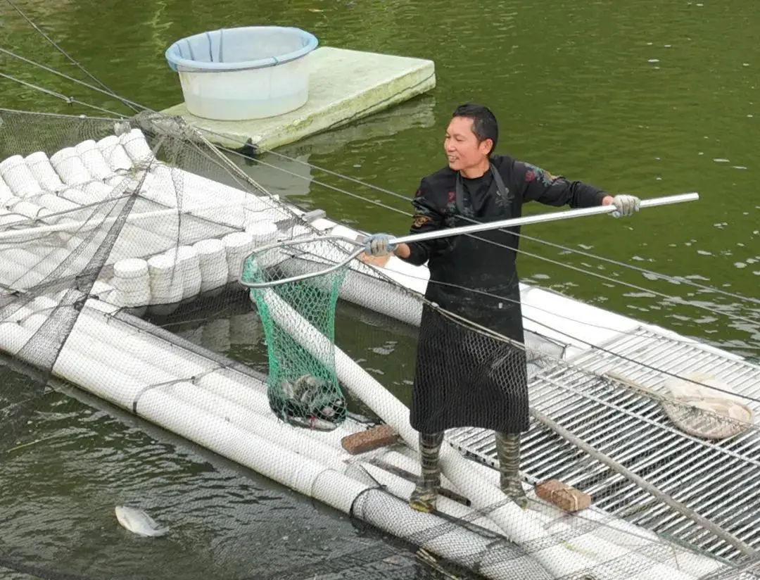 养殖致富狼狗项目有哪些_养狼狗赚钱吗_养殖致富项目养殖狼狗