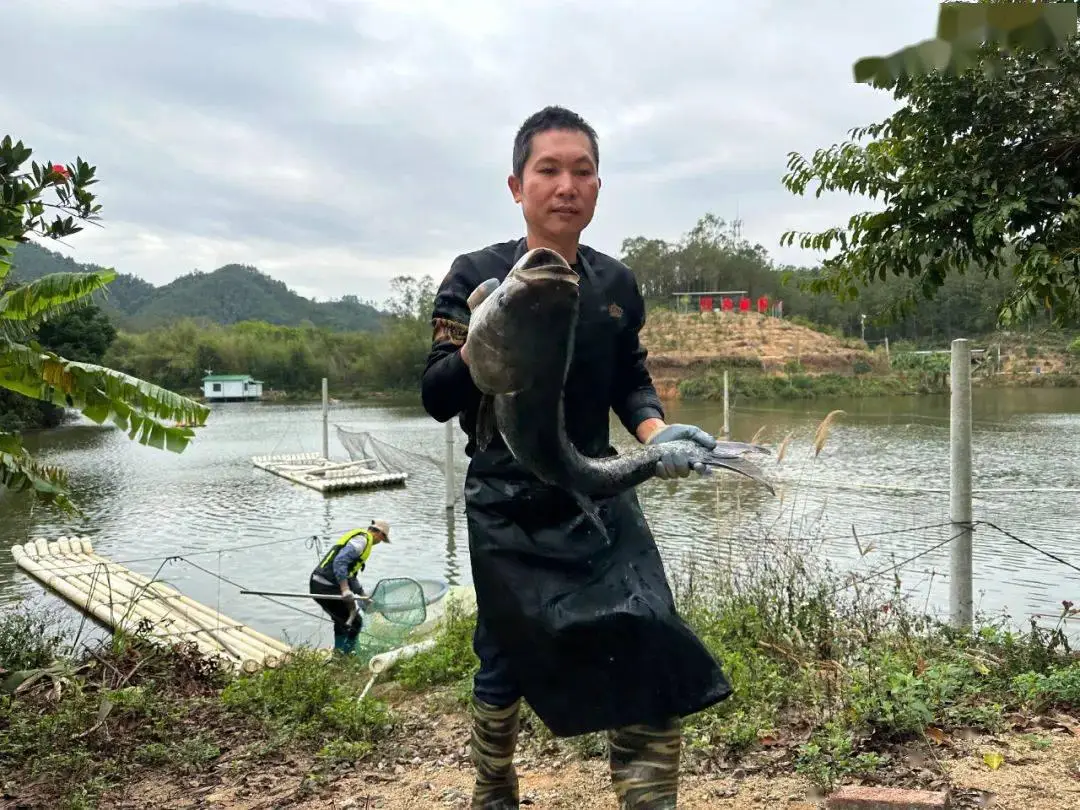 养殖致富狼狗项目有哪些_养殖致富项目养殖狼狗_养狼狗赚钱吗