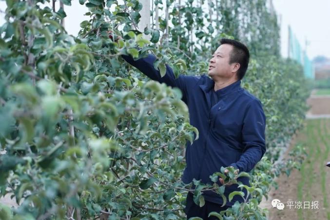 致富山村种植果园图片_山区农村致富_山村果园种植致富