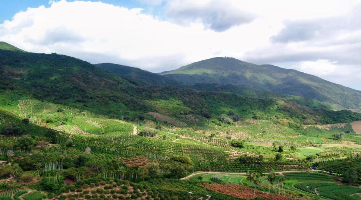 山村果园种植致富_致富山村种植果园图片_山区农村致富