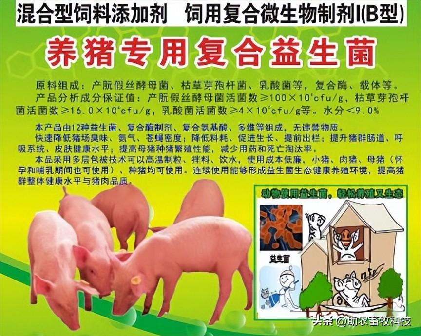 致富经生态养猪_致富养殖业_生态循环养殖致富