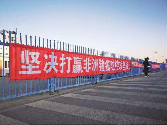 海南猪养殖技术_海南养猪场_海南养殖猪技术指导