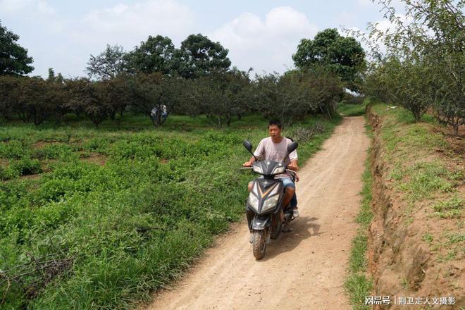 养殖致富狼狗项目名称_养殖致富项目养殖狼狗_狼狗养殖基地