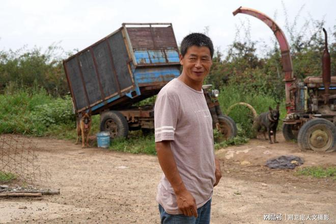 养殖致富项目养殖狼狗_养殖致富狼狗项目名称_狼狗养殖基地