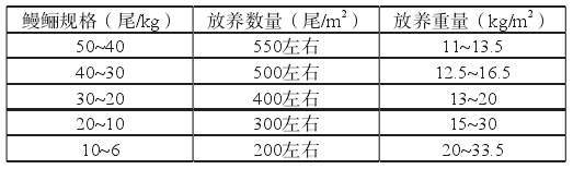 养殖淡水鳗视频_水鳗的养殖技术_养殖水技术鳗鱼怎么养