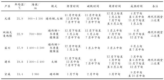 阳光玫瑰葡萄种植视频教程_种阳光玫瑰葡萄亩成本_阳光玖瑰葡萄种植技术