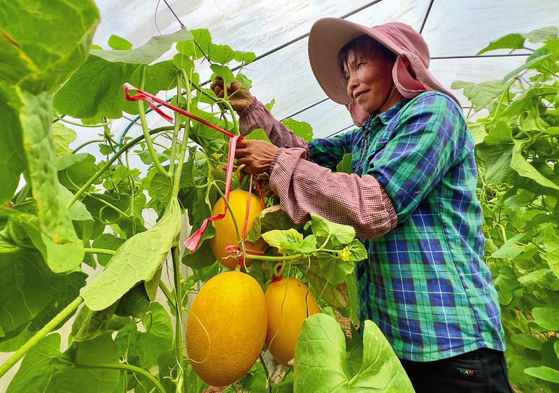 北回归线上的中国绿城·夏之味甜蜜一“夏”