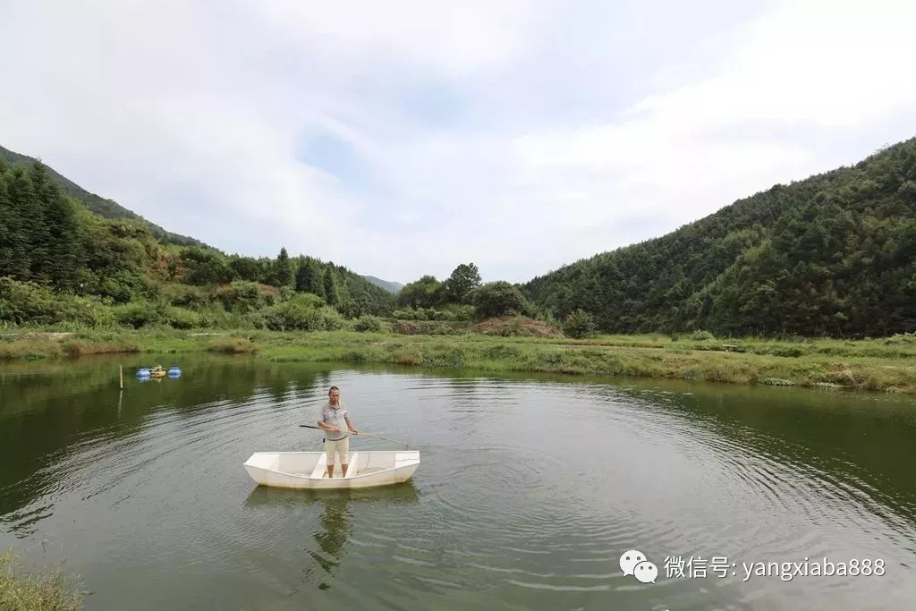 山泉水养殖草鱼_山泉水养殖草鱼鱼池的建设_致富经山泉水养草鱼