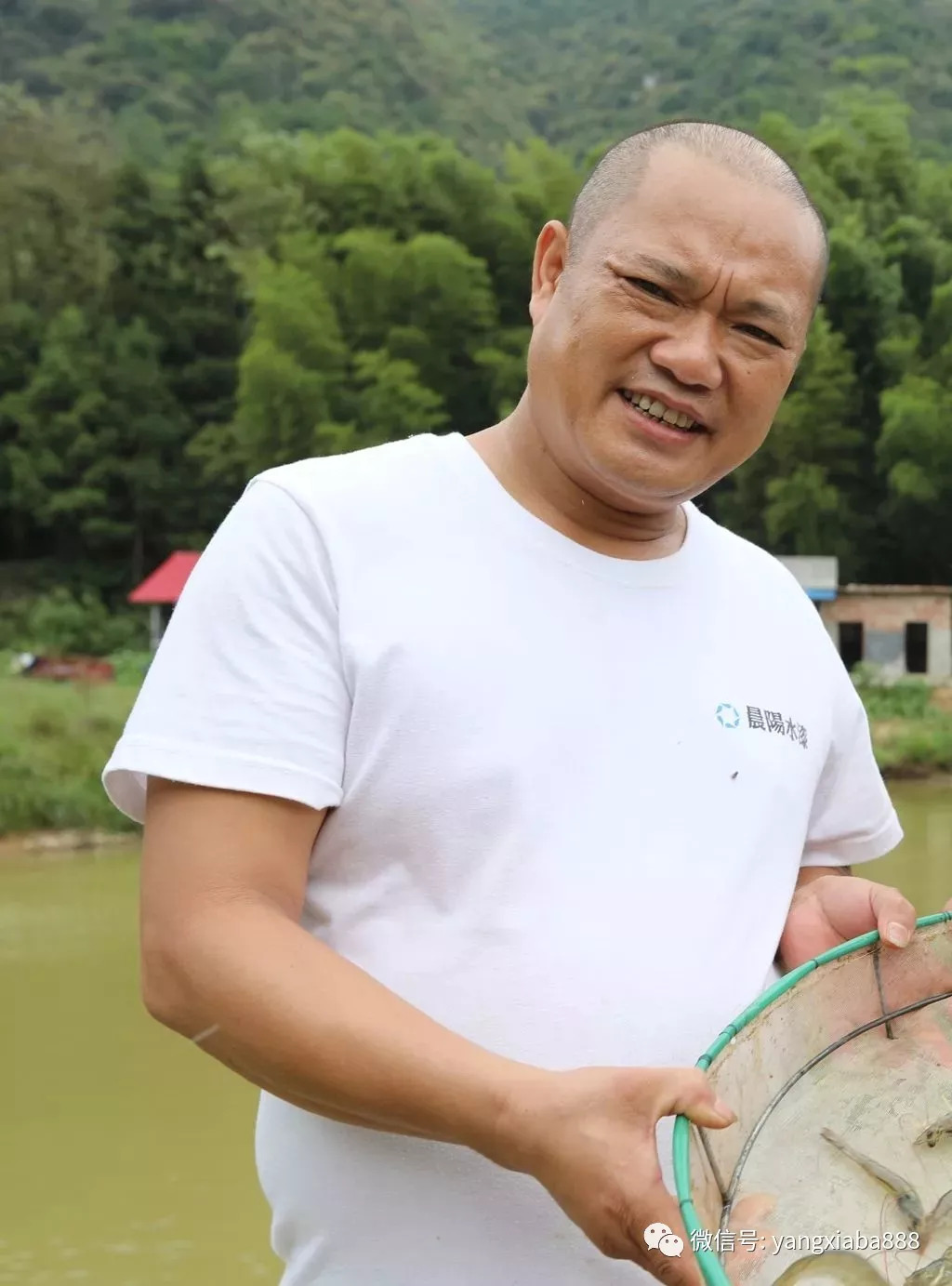 致富经山泉水养草鱼_山泉水养殖草鱼鱼池的建设_山泉水养殖草鱼