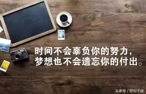 优质回答经验怎么写_优质回答的经验_提交优质回答