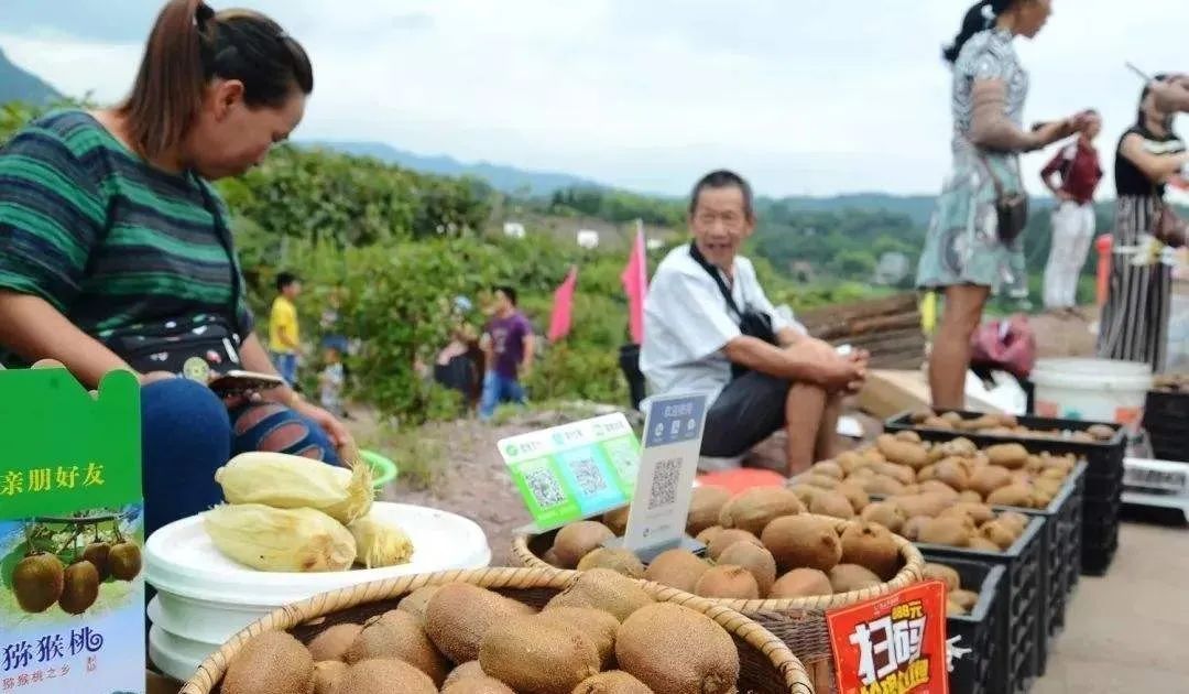 穷人养殖致富项目_穷人养殖业什么最稳_适合穷人养殖创业