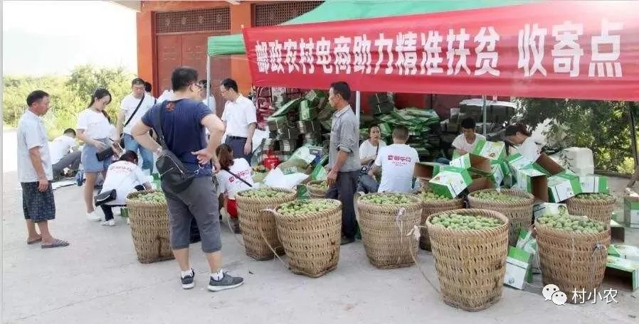 穷人养殖致富项目_穷人养殖业什么最稳_适合穷人养殖创业