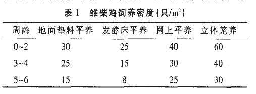 【干货】土鸡生态养殖技术要点