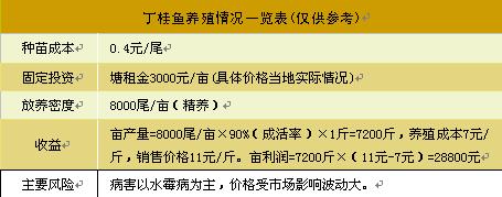 丁桂鱼：欧洲皇家宠鱼 小产业易养殖