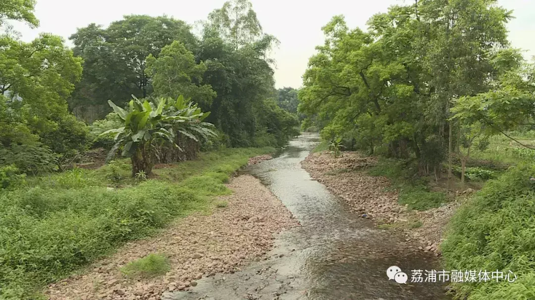 广西荔浦：山泉水生态养鱼   带动村民脱贫增收