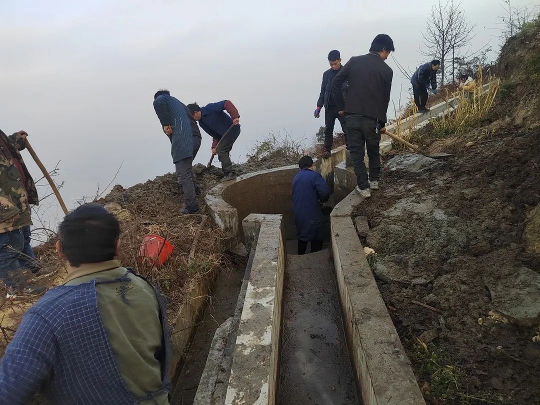 种植枇杷树的方法_怎样种枇杷树视频_枇杷种植技术视频