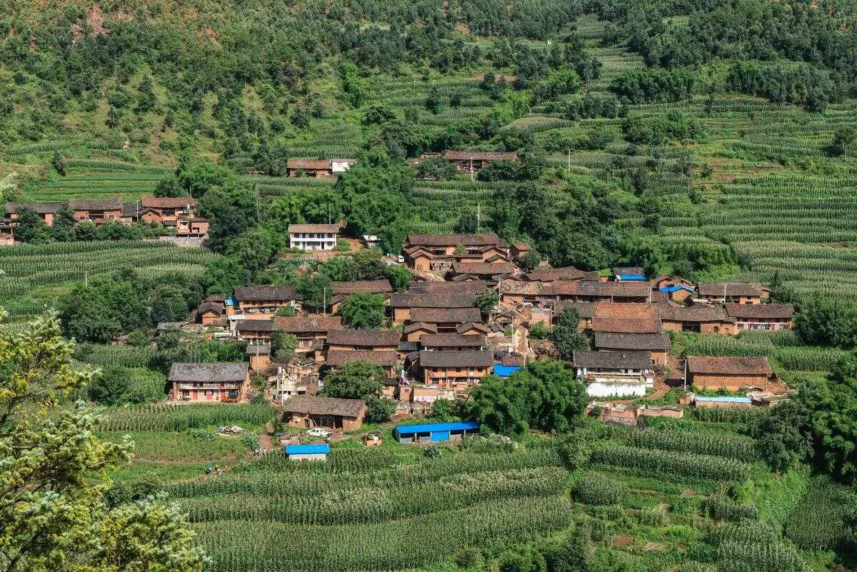 应广大网友要求，写些农村山区只要万元致富脱贫好项目