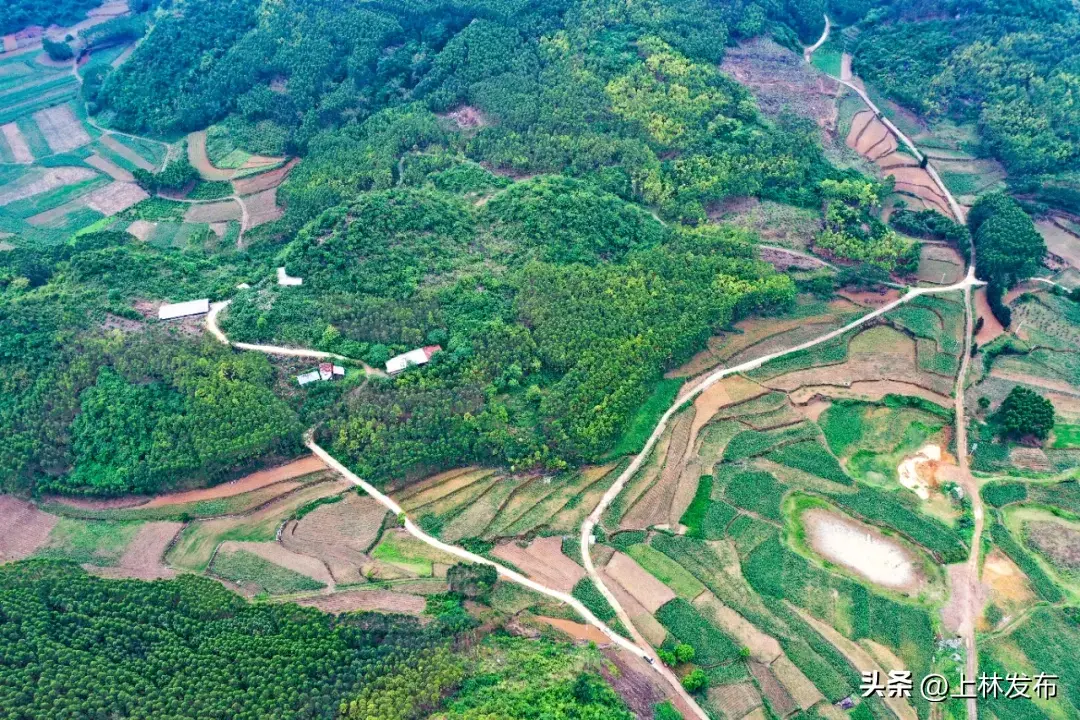 致富经散养山猪_致富经养山猪_致富经山林放养猪视频