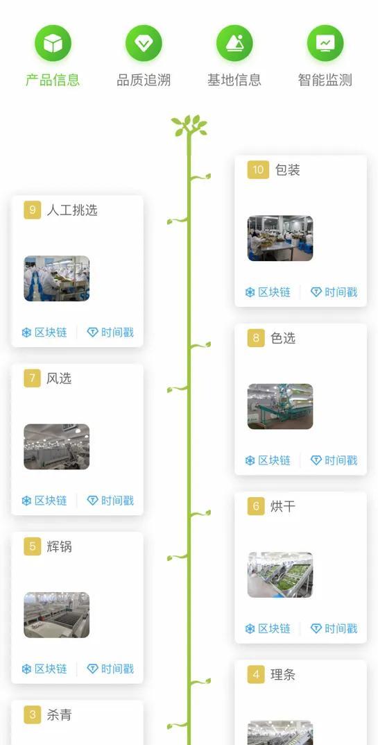 茶叶致富带头人_茶叶养殖致富经_致富茶叶养殖场地址