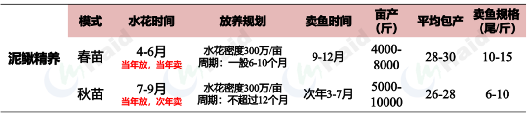 鳅鱼的养殖技术_花鳅的养殖技术_中华花鳅人工养殖