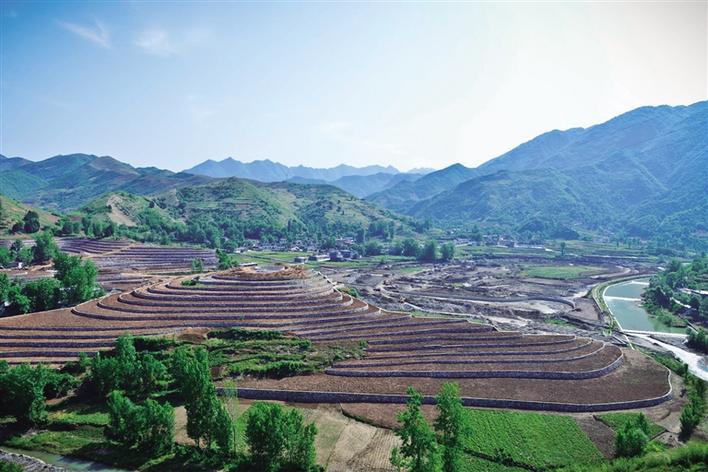 建立利益联结机制 壮大村级集体经济 生态山阳的脱贫致富经