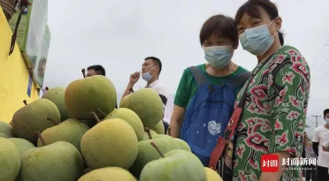 致富水果种植果园视频_水果种植致富果_致富经种植三种水果亩收入过亿