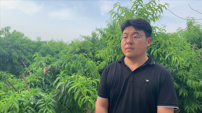 水果种植致富果_致富水果种植果园图片_致富创业网搞种植水果