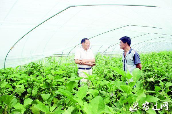 “探访宿迁特色产业村”联伍：“蔬菜村”的转型致富经