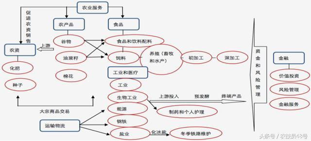 新形势下的新机遇，美国农民如何在当年的改革风口致富