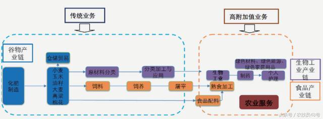 新形势下的新机遇，美国农民如何在当年的改革风口致富