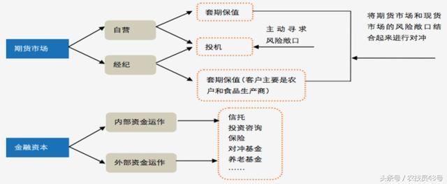 新形势下的新机遇，美国农民如何在当年的改革风口致富