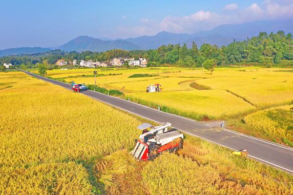 金融赋能乡村振兴“黄山探索”